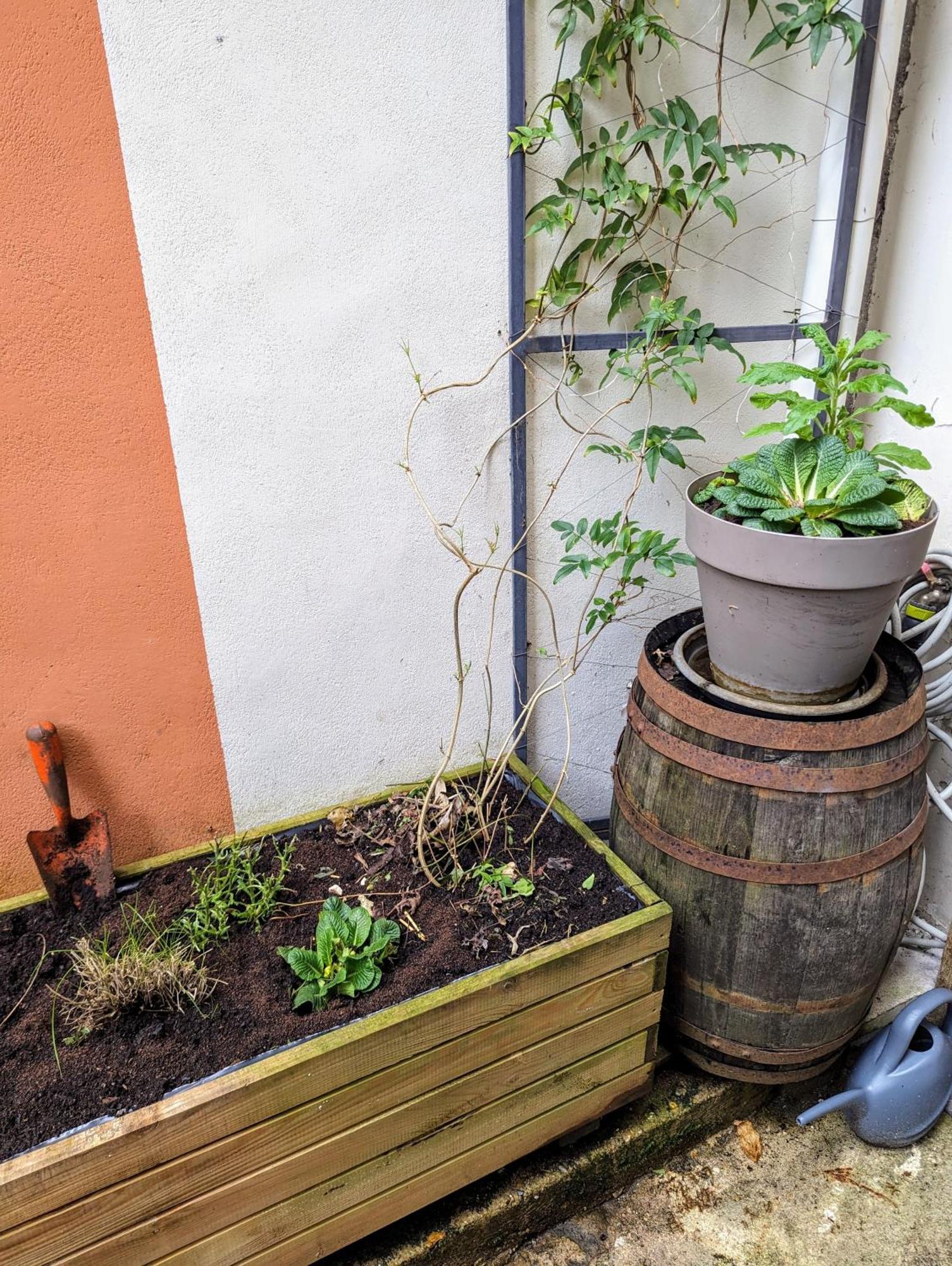 Artist Home - City Center - Bathtub - Terrasse - Full Appartment Rouen Ngoại thất bức ảnh